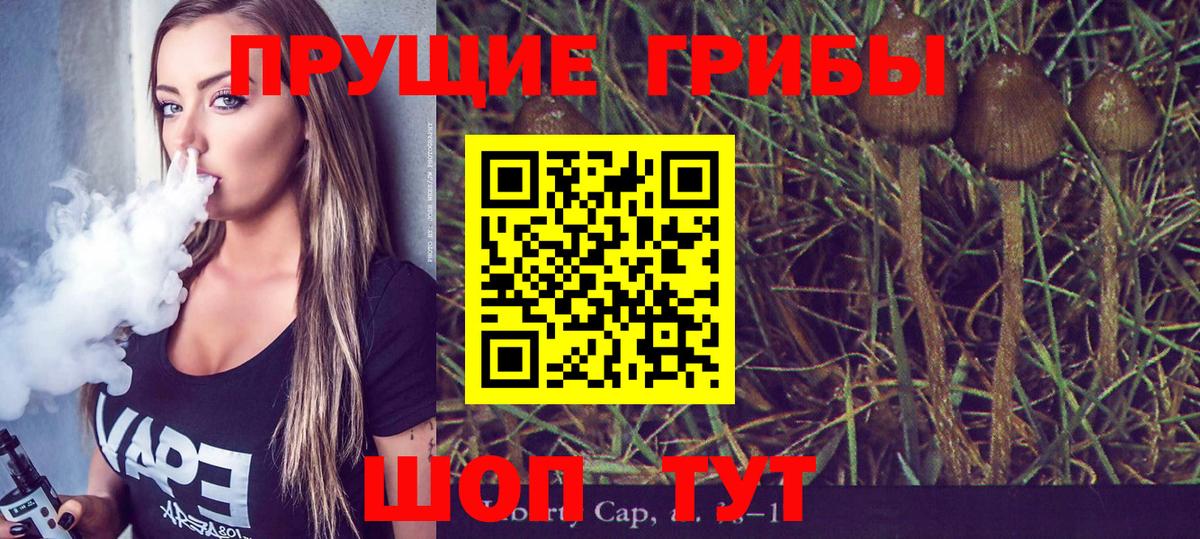 Псилоцибиновые грибы прущие грибы  Вход с VPN  Севастополь 